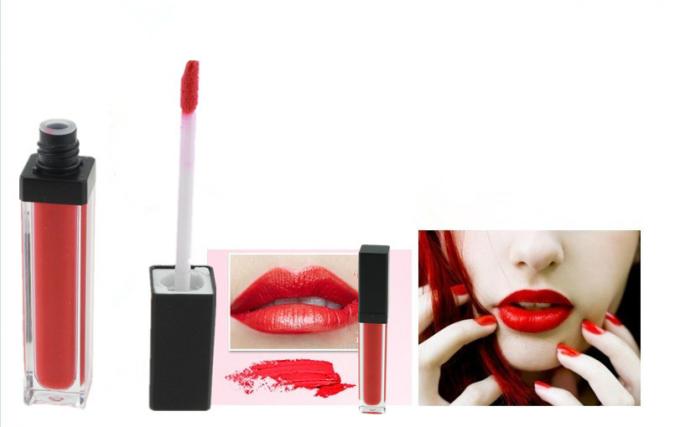 Hohes Pigment-glattere Lipgloss-Wasserbeständigkeit für weibliches modernes