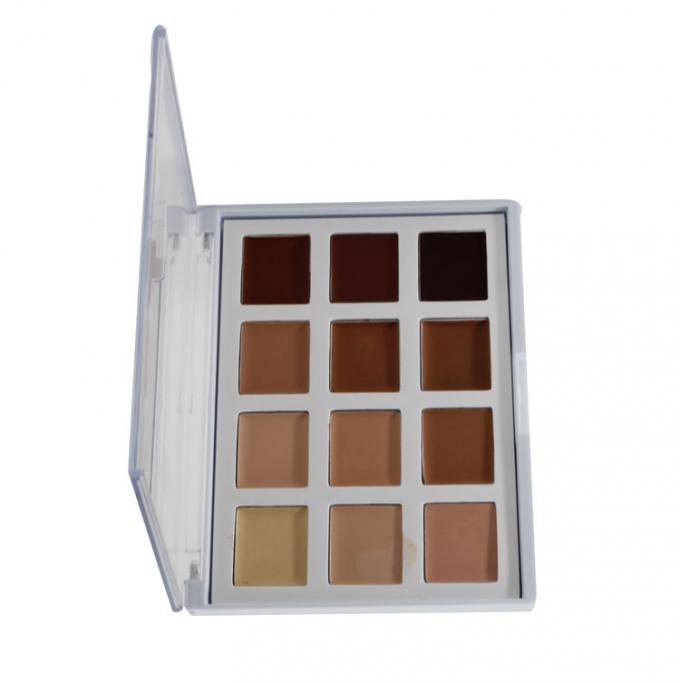 Schönheits-Produkt-Make-upkosmetik-Abdeckstift-Palette mit 12 Nizza Farben