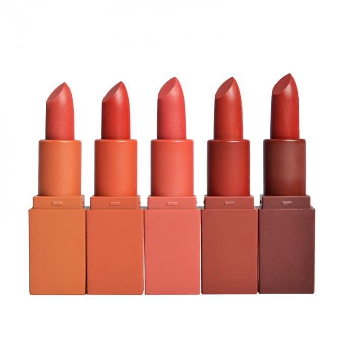 5 Farben pigmentierten in hohem Grade Lippenstift, wasserdichte das Make-uplanglebige Lipgloss