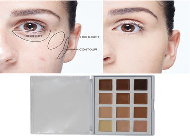 Schönheits-Produkt-Make-upkosmetik-Abdeckstift-Palette mit 12 Nizza Farben